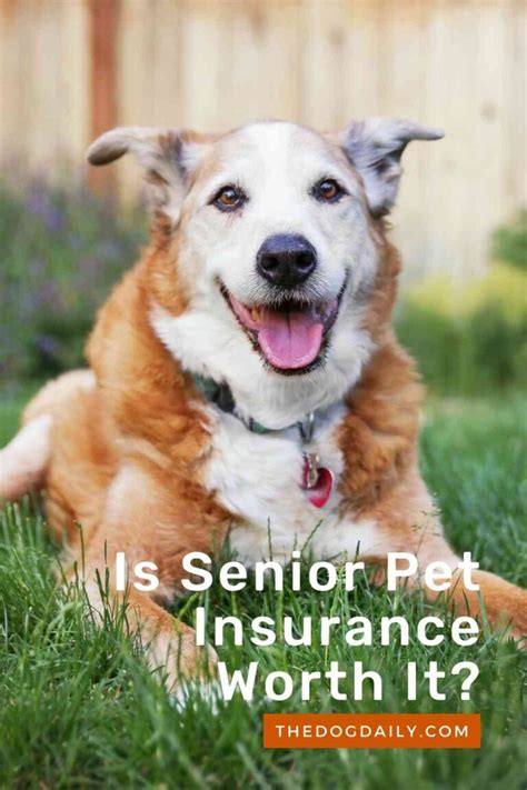 seniors pet insurance portal.